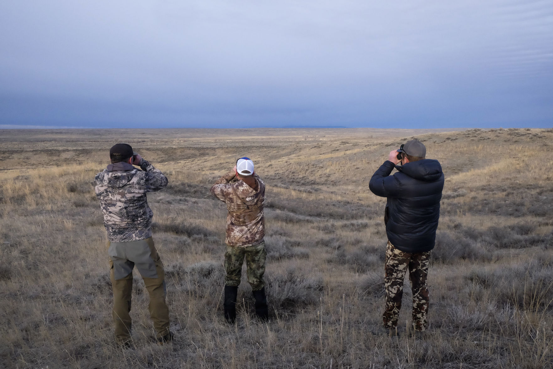 APR Bison Harvest